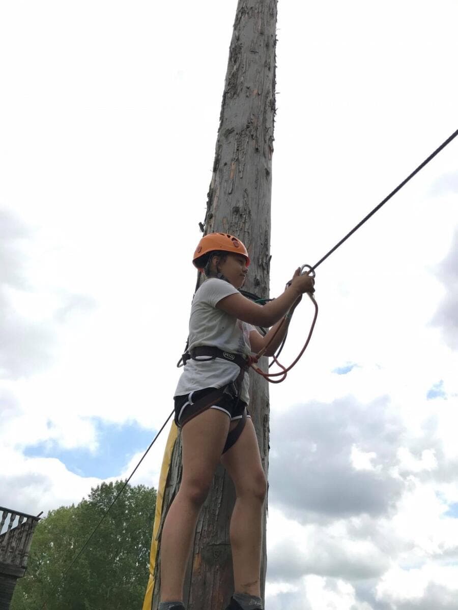 20