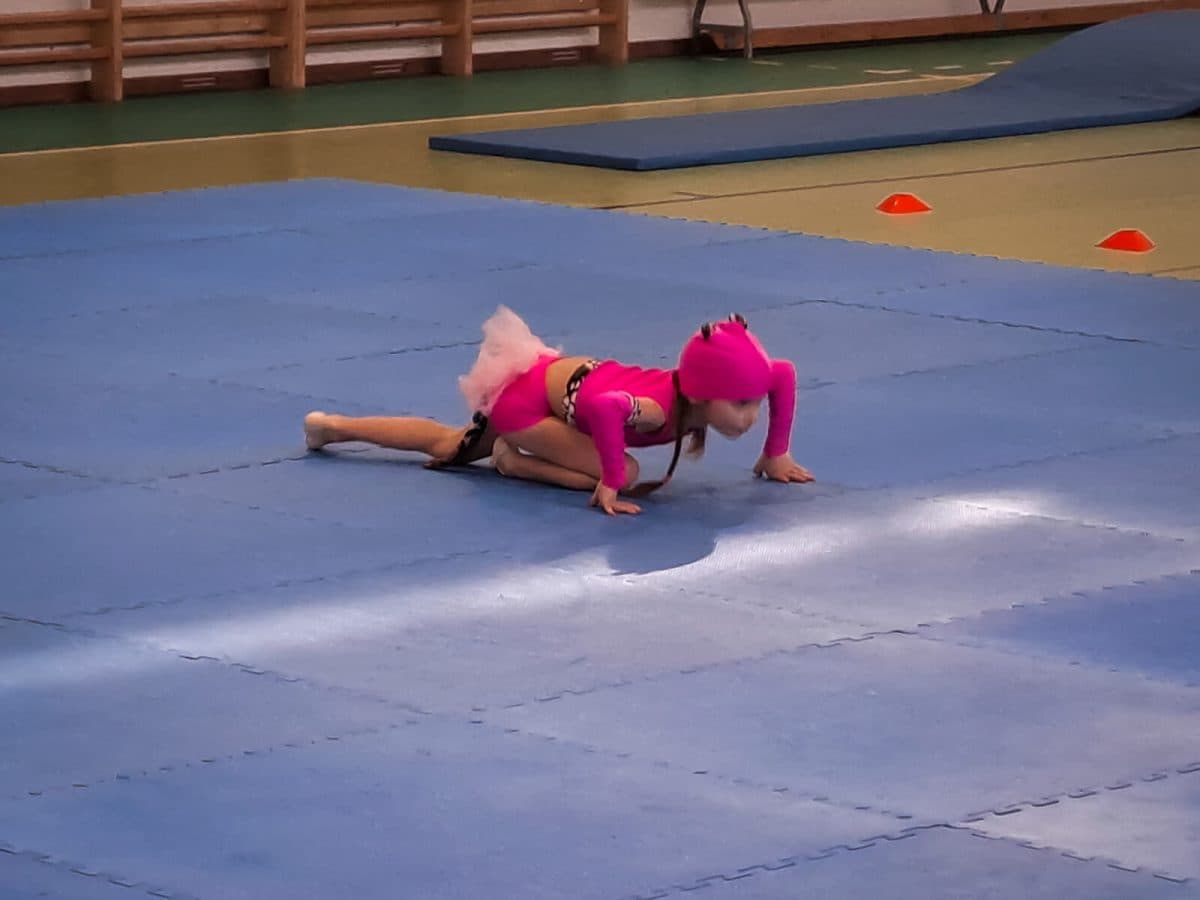 A Nyíregyházi Torna Sportegyesület látványos évzáró gálaműsora és díjátadó ünnepsége