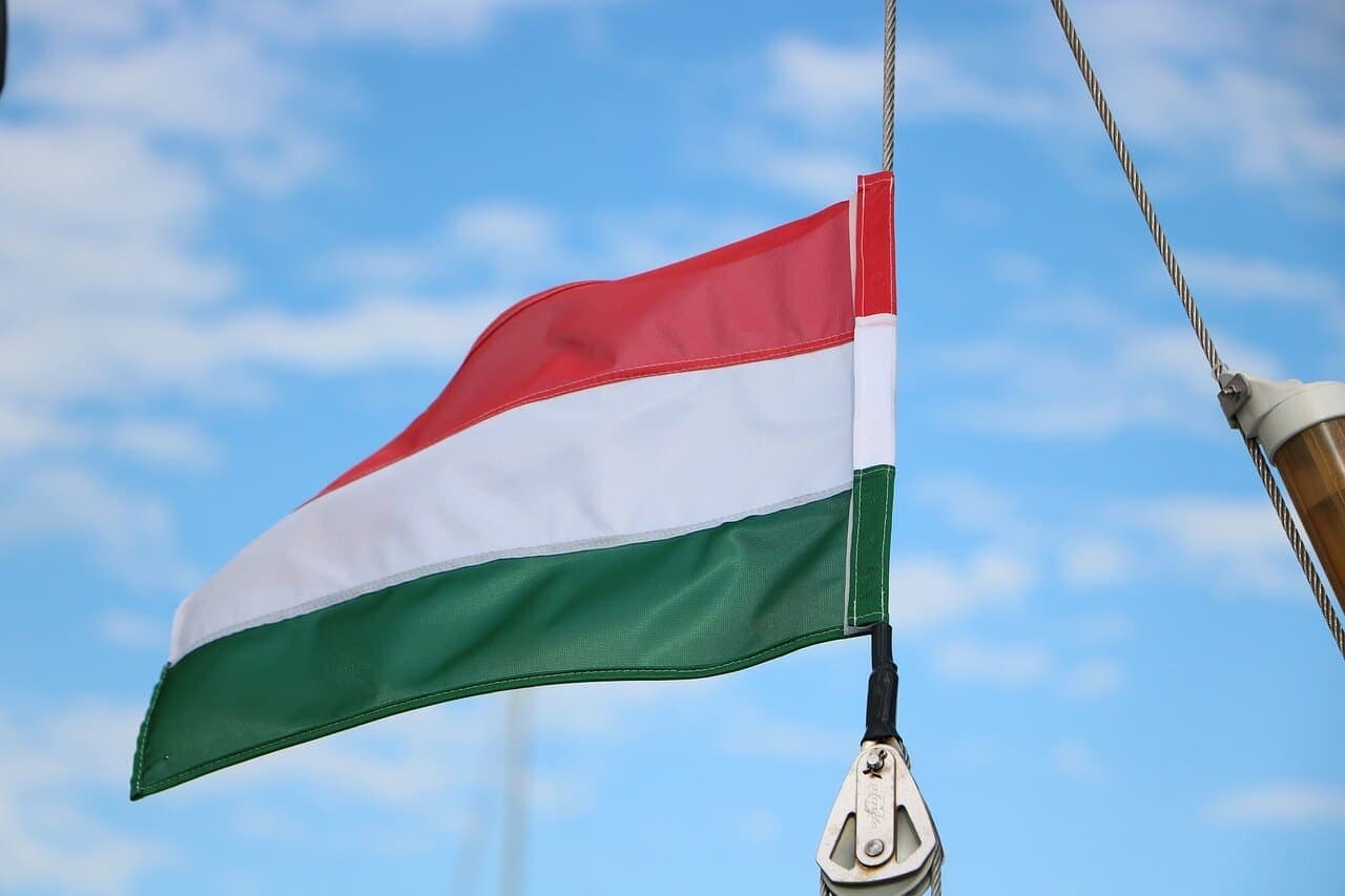 Az első szertornaversenyt Magyarországon az NTE rendezte 1881-ben